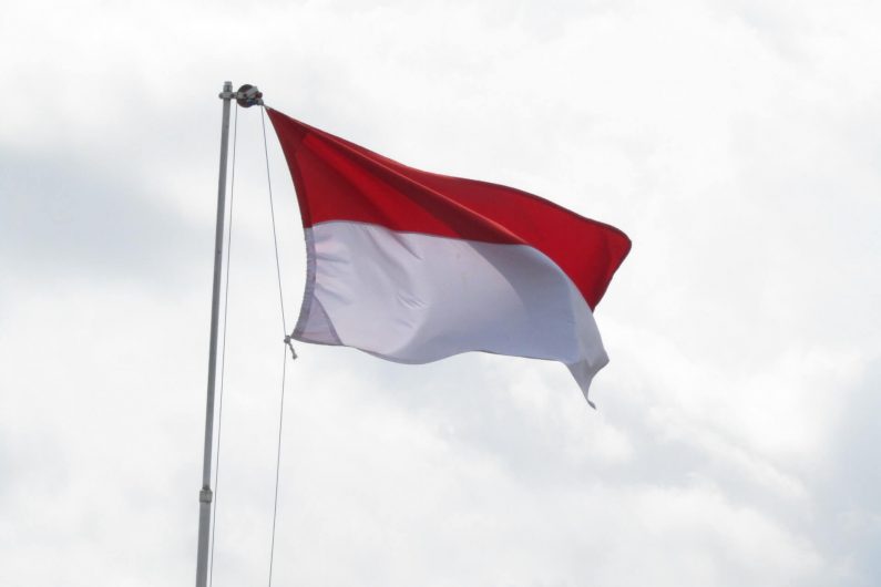 Ph-Indonesia-partnership